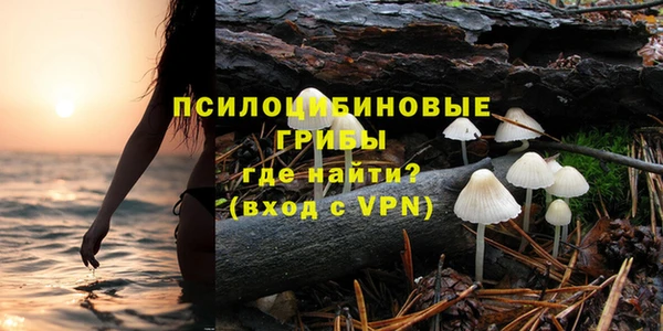 PSILOCYBIN Кукмор