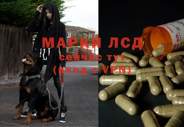 крисы Краснотурьинск