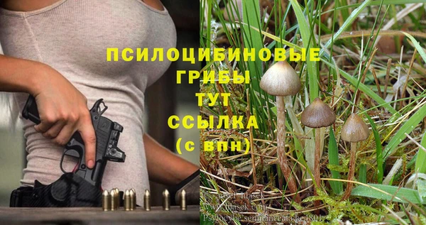 винт Краснослободск
