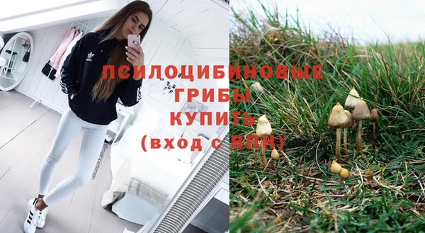 крисы Краснотурьинск