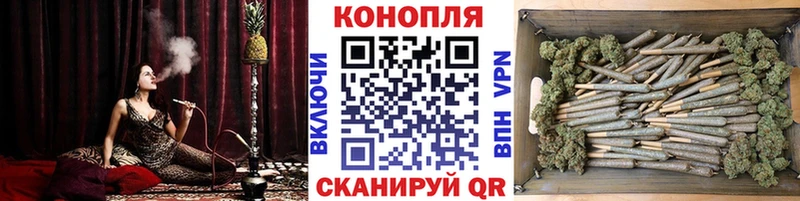 Бошки Шишки планчик Макарьев
